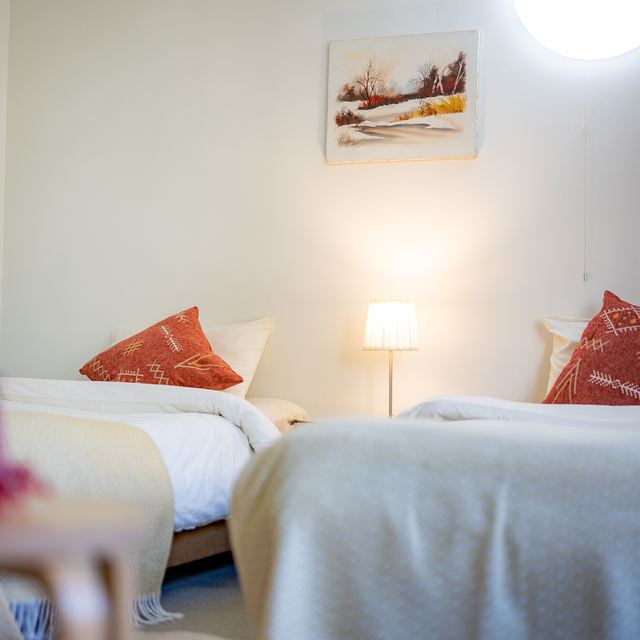 Twin beds made up with wool blankets and a lamp between them